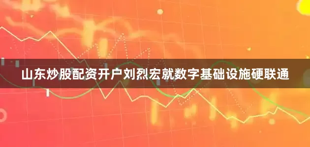 山东炒股配资开户刘烈宏就数字基础设施硬联通
