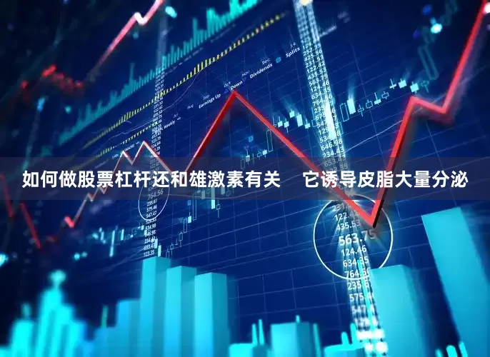 如何做股票杠杆还和雄激素有关    它诱导皮脂大量分泌