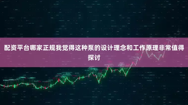 配资平台哪家正规我觉得这种泵的设计理念和工作原理非常值得探讨