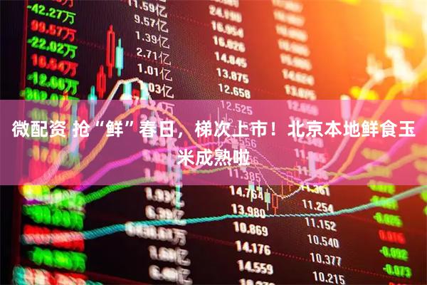 微配资 抢“鲜”春日，梯次上市！北京本地鲜食玉米成熟啦